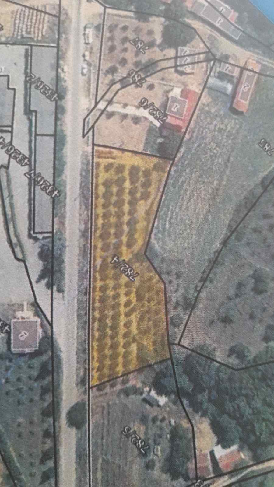Се продава овоштарник